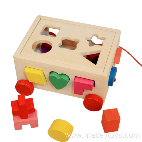 Wooden Geometric Matching Building Block 17 Hole Toy